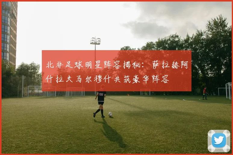 北非足球明星阵容揭秘：萨拉赫阿什拉夫马尔穆什共筑豪华阵容