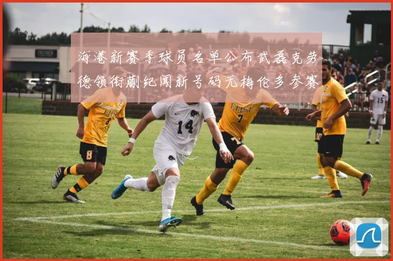 海港新赛季球员名单公布武磊克劳德领衔蒯纪闻新号码无梅伦多参赛