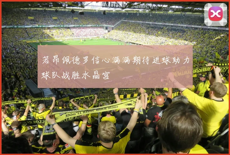 若昂佩德罗信心满满期待进球助力球队战胜水晶宫