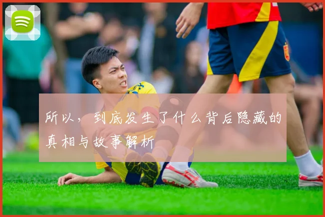 所以，到底发生了什么背后隐藏的真相与故事解析